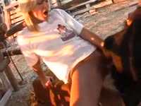 Kinky lady opening wide her pussy for dog oral sex